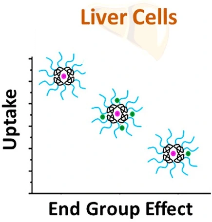 Images large nn1c04213 0006